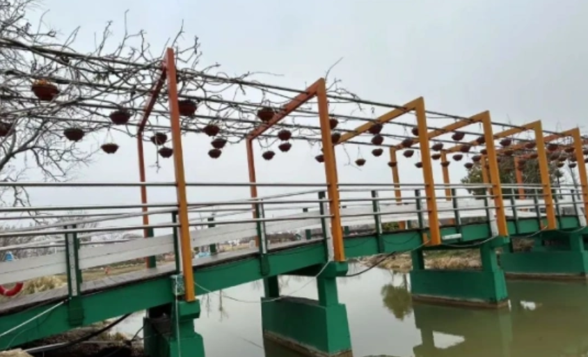 伊犁吊橋主鎖斷裂，景區(qū)橋梁為什么需要定期做安全評估？