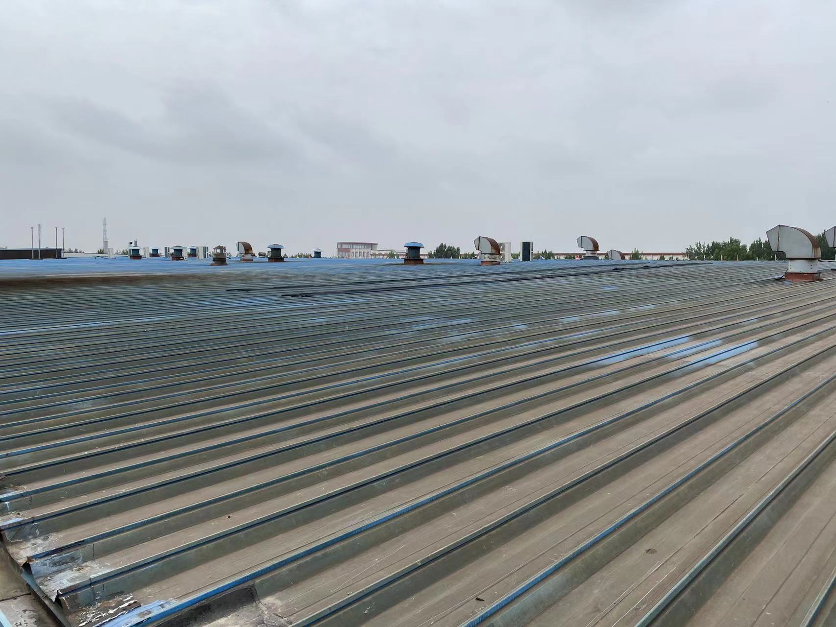 天津金輪光伏加裝承載力檢測(cè)現(xiàn)場(chǎng)踏勘 (5)