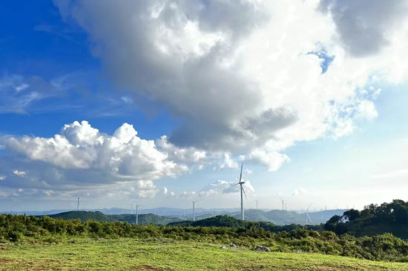 風(fēng)力發(fā)電機(jī)