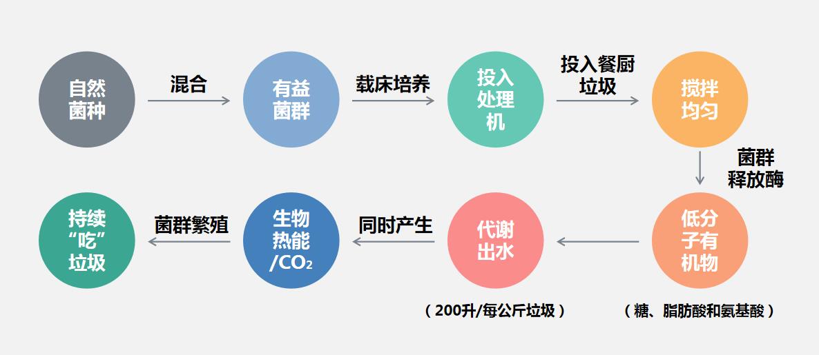 餐廚垃圾微生物處理技術