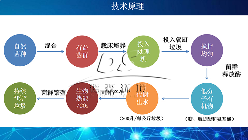 易腐質(zhì)垃圾處理設備